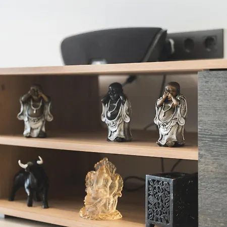 Designer Loft With Pool, With Gigantic Terrace And Private Parking & In The Centre