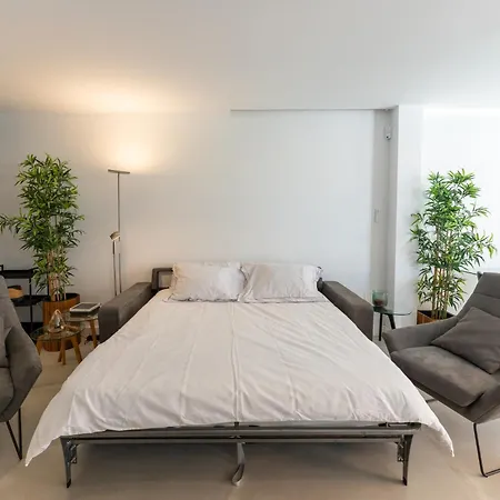 Apartment Designer Loft With Pool, With Gigantic Terrace And Private Parking & In The Centre *