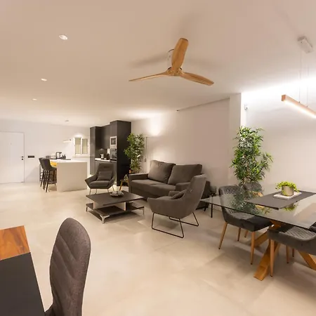 Designer Loft With Pool, With Gigantic Terrace And Private Parking & In The Centre Apartment