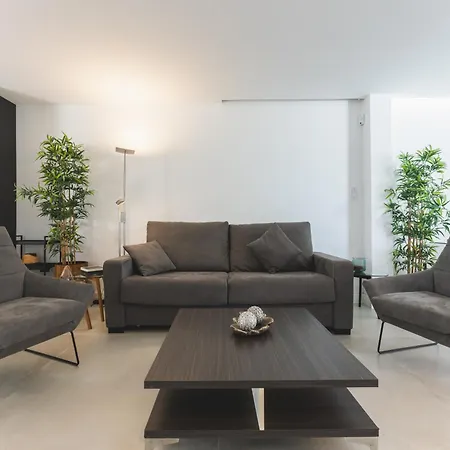 Apartment Designer Loft With Pool, With Gigantic Terrace And Private Parking & In The Centre