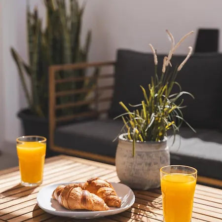 Designer Loft With Pool, With Gigantic Terrace And Private Parking & In The Centre Appartement *